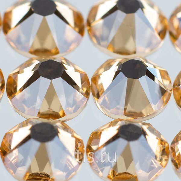 C88 ss16 Crystal Golden Shadow K9 F