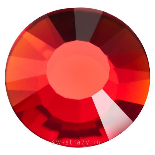 2034 ss 20 Light Siam F