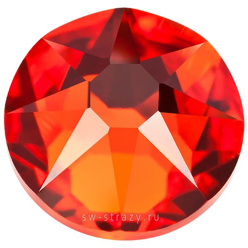 2058 ss 5 Hyacinth F